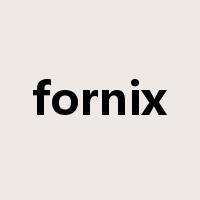 fornix是什么意思