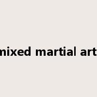 mixed martial arts是什么意思