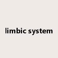 limbic system是什么意思