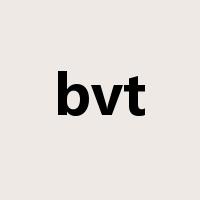 bvt是什么意思