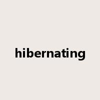 hibernating是什么意思
