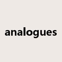 analogues是什么意思