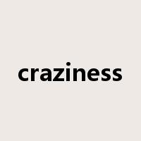 craziness是什么意思