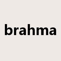 brahma是什么意思