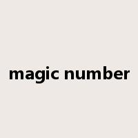 magic number是什么意思
