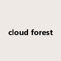 cloud forest是什么意思