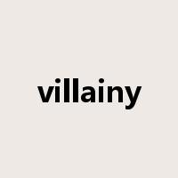 villainy是什么意思