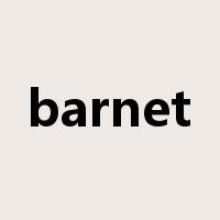 barnet是什么意思