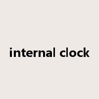 internal clock是什么意思