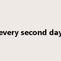every second day是什么意思