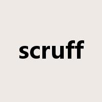 scruff是什么意思