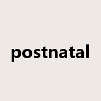 postnatal是什么意思