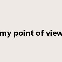 my point of view是什么意思