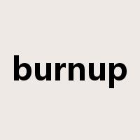 burnup是什么意思