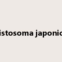 schistosoma japonicum是什么意思