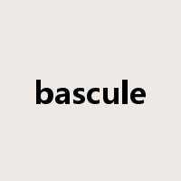 bascule是什么意思