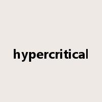 hypercritical是什么意思