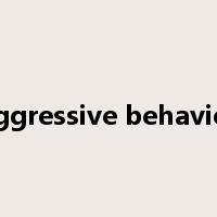 aggressive behavior是什么意思