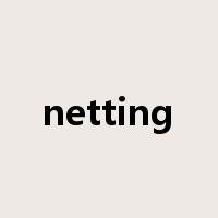 netting是什么意思