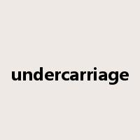 undercarriage是什么意思