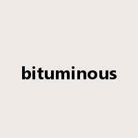 bituminous是什么意思