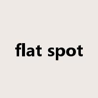 flat spot是什么意思