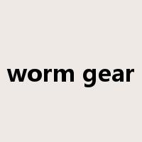 worm gear是什么意思