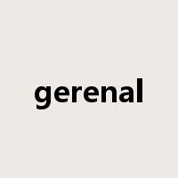 gerenal是什么意思