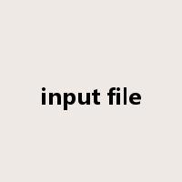 input file是什么意思