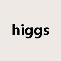 higgs是什么意思
