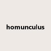 homunculus是什么意思