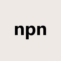 npn是什么意思