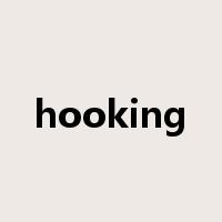hooking是什么意思