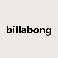billabong是什么意思