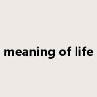meaning of life是什么意思