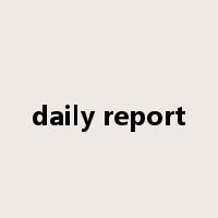 daily report是什么意思