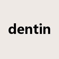 dentin是什么意思