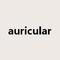 auricular是什么意思