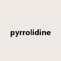 pyrrolidine是什么意思