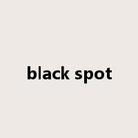 black spot是什么意思