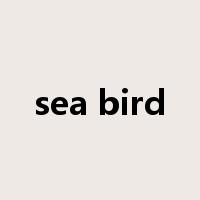 sea bird是什么意思