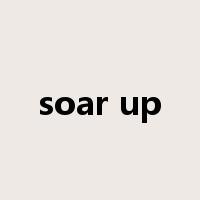 soar up是什么意思