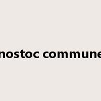 nostoc commune是什么意思
