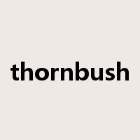 thornbush是什么意思