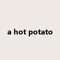 a hot potato是什么意思