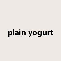 plain yogurt是什么意思