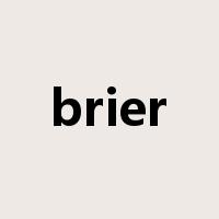 brier是什么意思