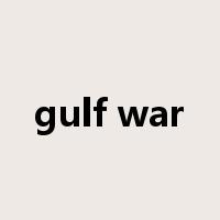 gulf war是什么意思