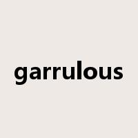 garrulous是什么意思