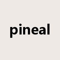 pineal是什么意思